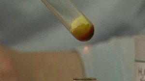 Химия. Опыты. Неорганика. Получение пластической серы