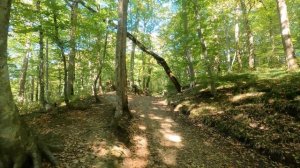 [4K HDR] Dante's Gorge, Goryachy Klyuch, Krasnodar Krai - Russian Nature Walk