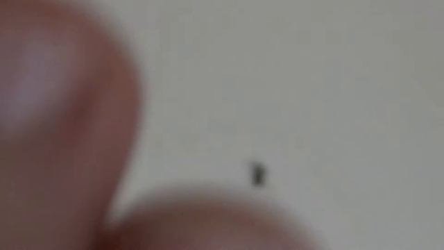 Small & Dangerous!