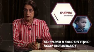 «Пчёлы против мёда». Поправки в Конституцию: кому они мешают