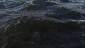 Играй, гармонь! | Игорь Растеряев (г. Санкт-Петербург) | Ленинградская