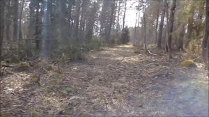 Поиск старинной дороги, которой 500 лет.