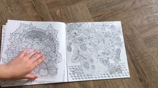 Обзор на раскраску от Виктории Дорофеевой «Стихия земли» смотреть онлайн