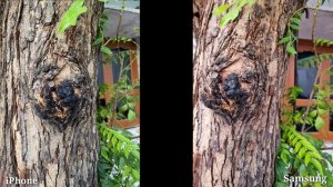 Samsung Galaxy S21 Vs iPhone 11 Camera Test & Comparison | Which is The Best..?