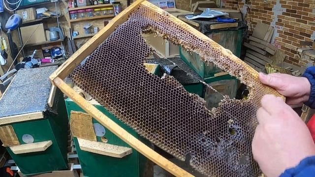 Пчелиные ловушки снял с чердака,моль уничтожила рамки смотреть онлайн