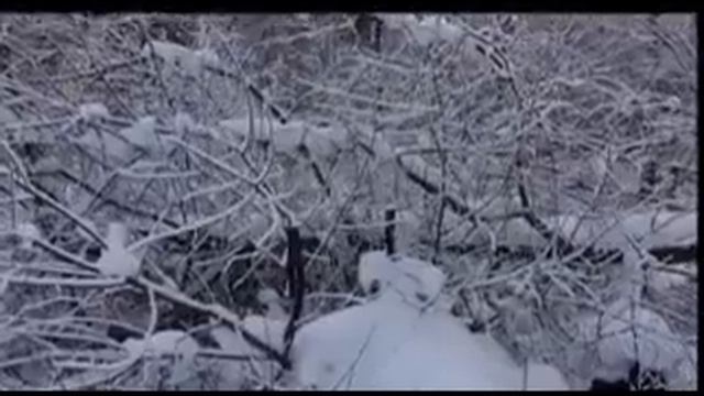 "БЕЛЫЕ СТОЛБЫ" (2010) смотреть онлайн