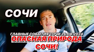 Опасная природа Сочи! Спасет МЧС. - 4K