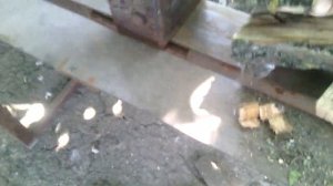 Дровокол своими руками (редуктор 100)