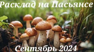 Расклад на пасьянсе для всех знаков сентябрь 2024