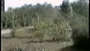 г.Улан-Удэ. ул.Гагарина