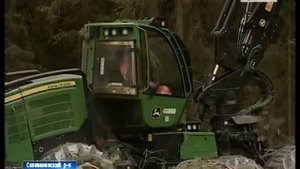 Профессия лесоруб