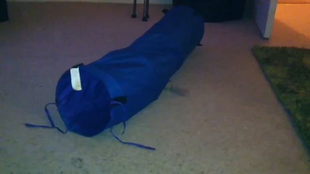 Kitten Madness! смотреть онлайн