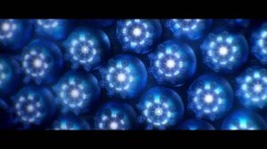 FRONT LINE ASSEMBLY - Epitaph.avi