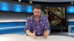 ИНДЮКИ: СОДЕРЖАНИЕ И ВЫРАЩИВАНИЕ от инкубации до взрослого. Делимся опытом по индюшке!
