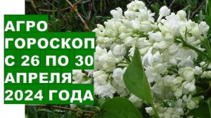 Агрогороскоп с 26 по 30 апреля 2024 года.Agrohoroscope from April 26 to April 30, 2024