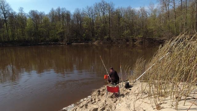 Тёша в начале мая