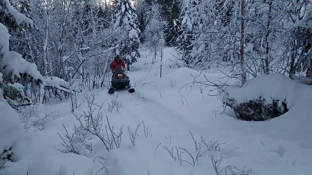 Снегоход Тайга 2 . Прохват и пробивка по целине на г.Острая Свердловская обл. смотреть онлайн