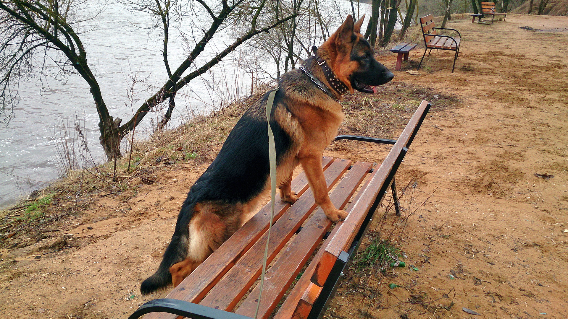 ЖОЙСЕН ЛАВ (БАРС) ИЮЛЬ - ДЕКАБРЬ 2021 г. смотреть онлайн