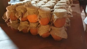 Посетила Медовый двор в Абхазии