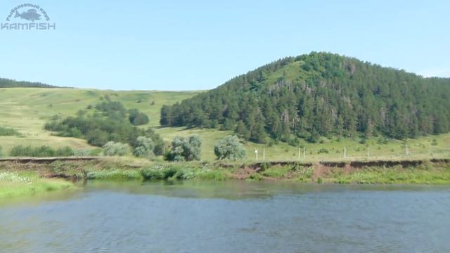 Ловля голавля летом на спиннинг. Сплавная рыбалка. Kamfish смотреть онлайн