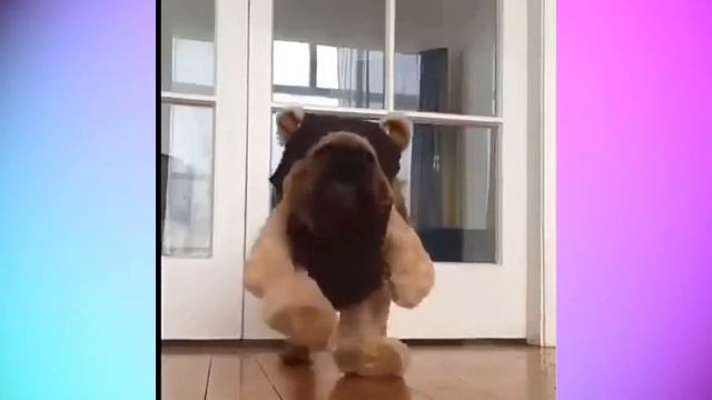 Мохнатый Будильник #2 HD Music смотреть онлайн