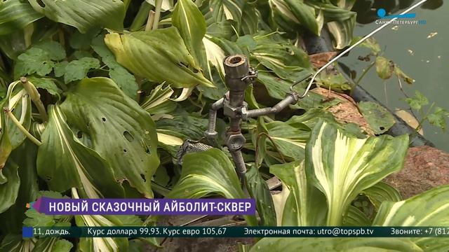 Айболит-сквер на территории Александровской больницы в Петербурге смотреть онлайн