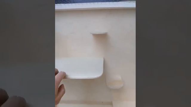 video Клетка для белок эконом вариант смотреть онлайн