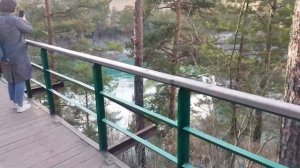 Горноалтайск, красивейшая природа!)