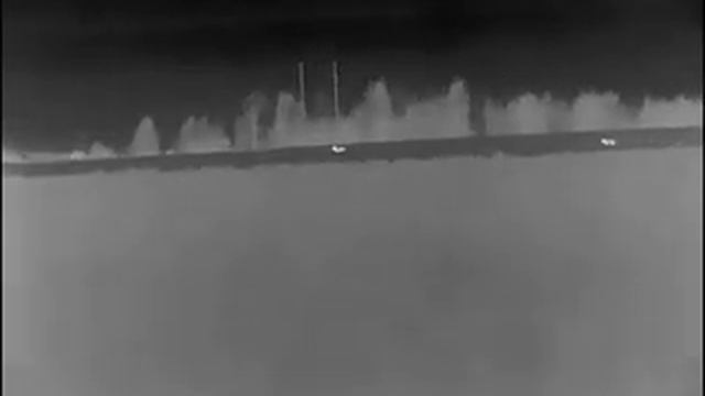 На лис с манком. Ночное видение. смотреть онлайн