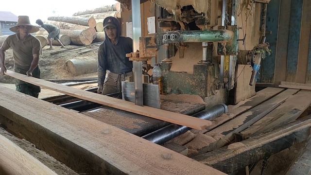sawmill.penggergajian batang kayu Meranti merah смотреть онлайн