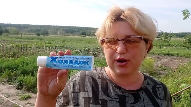 Любимые коровки и огород #Вашехозяйство #защитаотнасекомых #Холодок