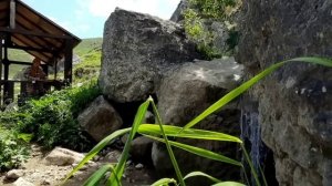 Жизнь в Горах. Два Самых Вкусных и Простых Рецепта  Азербайджанская Кухня Деревенская Кухня Рецепты