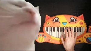 CAT VIBING to Coffin Dance MEME Song on a Cat Piano