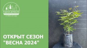 Открыт сезон «Весна 2024»