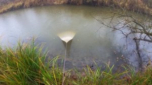 Кастинговая сеть! Прогулка по рыбным местам в Ноябре.