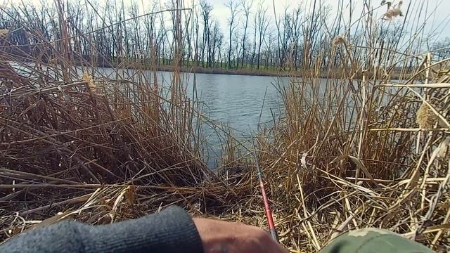 Весенняя Рыбалка на реке Зеленчук.  Рыбалка в Краснодарском крае.