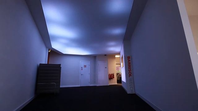 Barrisol® Media Ceiling With Intelligent Addressable LED Installation смотреть онлайн