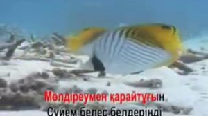 КАЗАКША КАРАОКЕ $5 Ауылым әнім