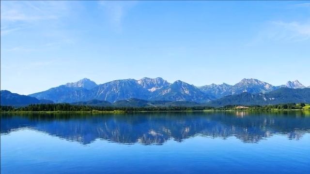 Привлекайте То , что Вы Хотите привлечь ∞Арктурианский Совет 9-го Измерения