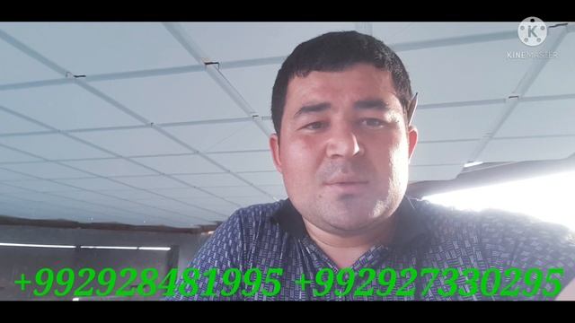 Тунукафон дар Тоҷикистон ш,Панҷакент тел +992928481995 +992927330295 смотреть онлайн