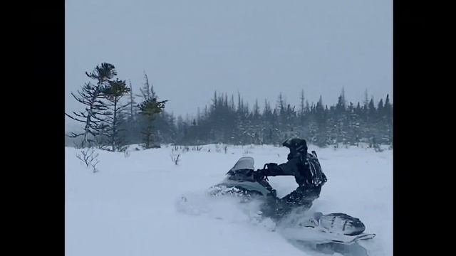 2021 ski doo backcountry 600 efi deep snow rip. смотреть онлайн