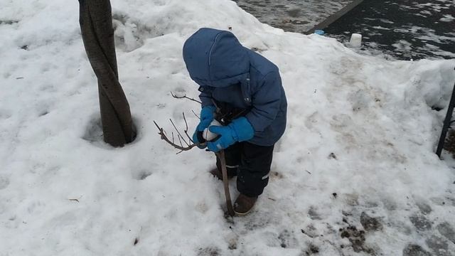 Древопульта. Сама додумалась