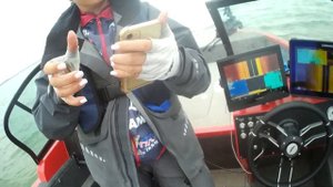 Весёловское водохранилище. Побочная тема по судаку. Сдаём наработки с Чемпионата России.