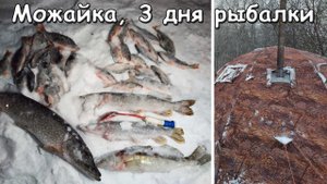 3 дня рыбалки на Можайке. Жерлицы и бель. Подводные съемки. Щука согнала плотву с точки.