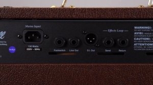 Marshall AS50D Acoustic Amplifier - Overview & Demo