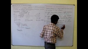 PHOTOSYNTHESIS ( Mechanism of photosynthesis)