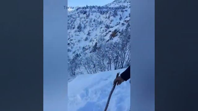 Жизнь в горный кишлаки Узбекистан