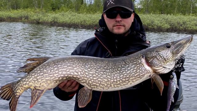 Щуки Ямала! Июнь 2020 смотреть онлайн