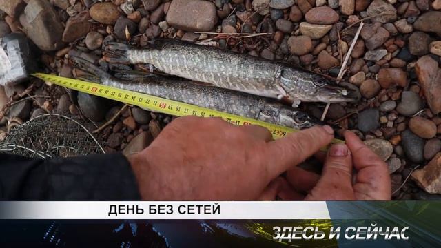 ДЕНЬ БЕЗ СЕТЕЙ смотреть онлайн