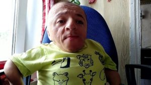 Беседка за 60 000 рублей   Материал, цены, подробности